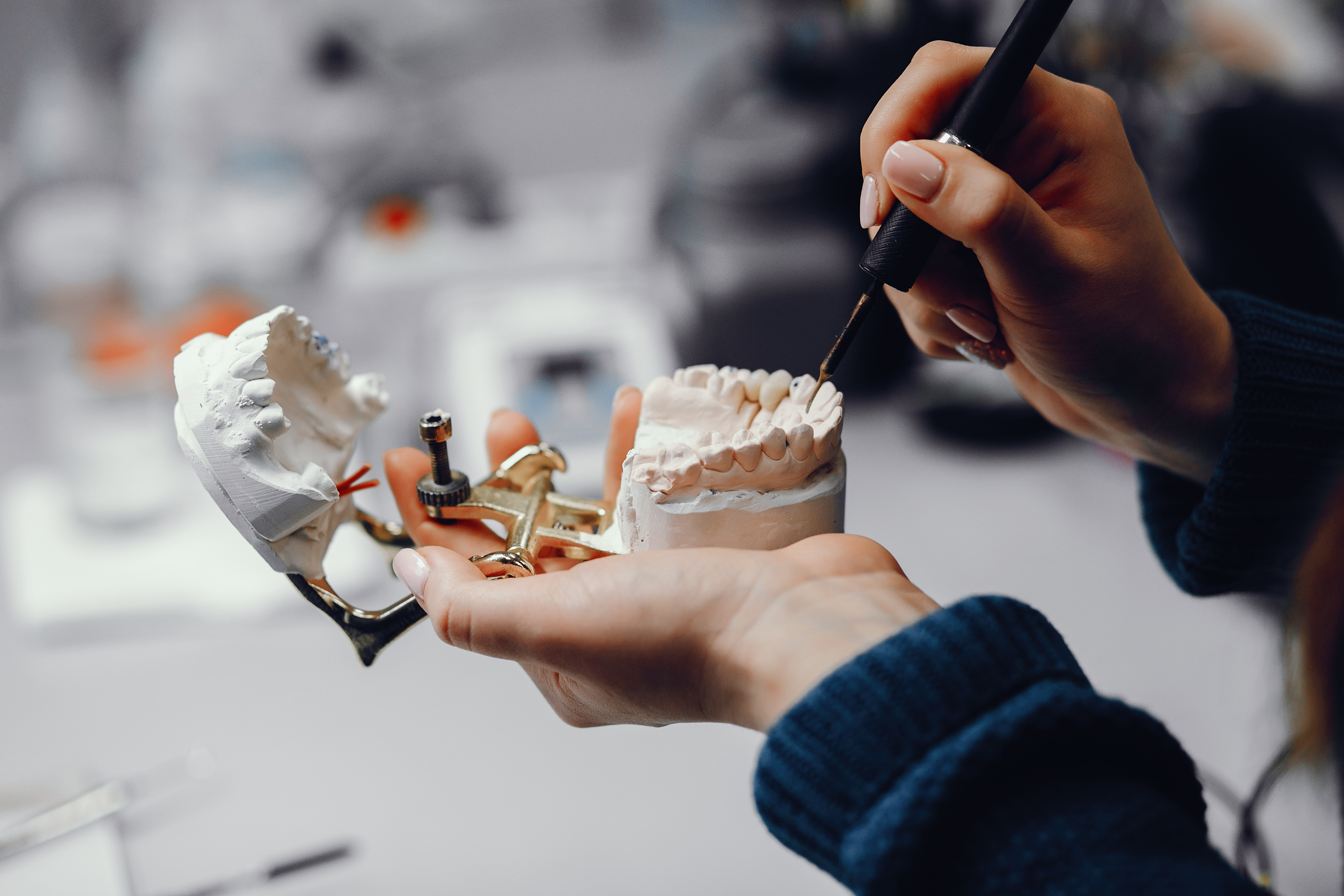 artificial-jaw-dentist-s-office