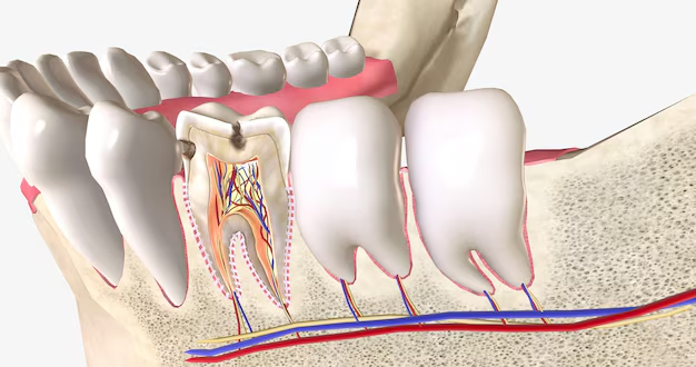 image (38)-4