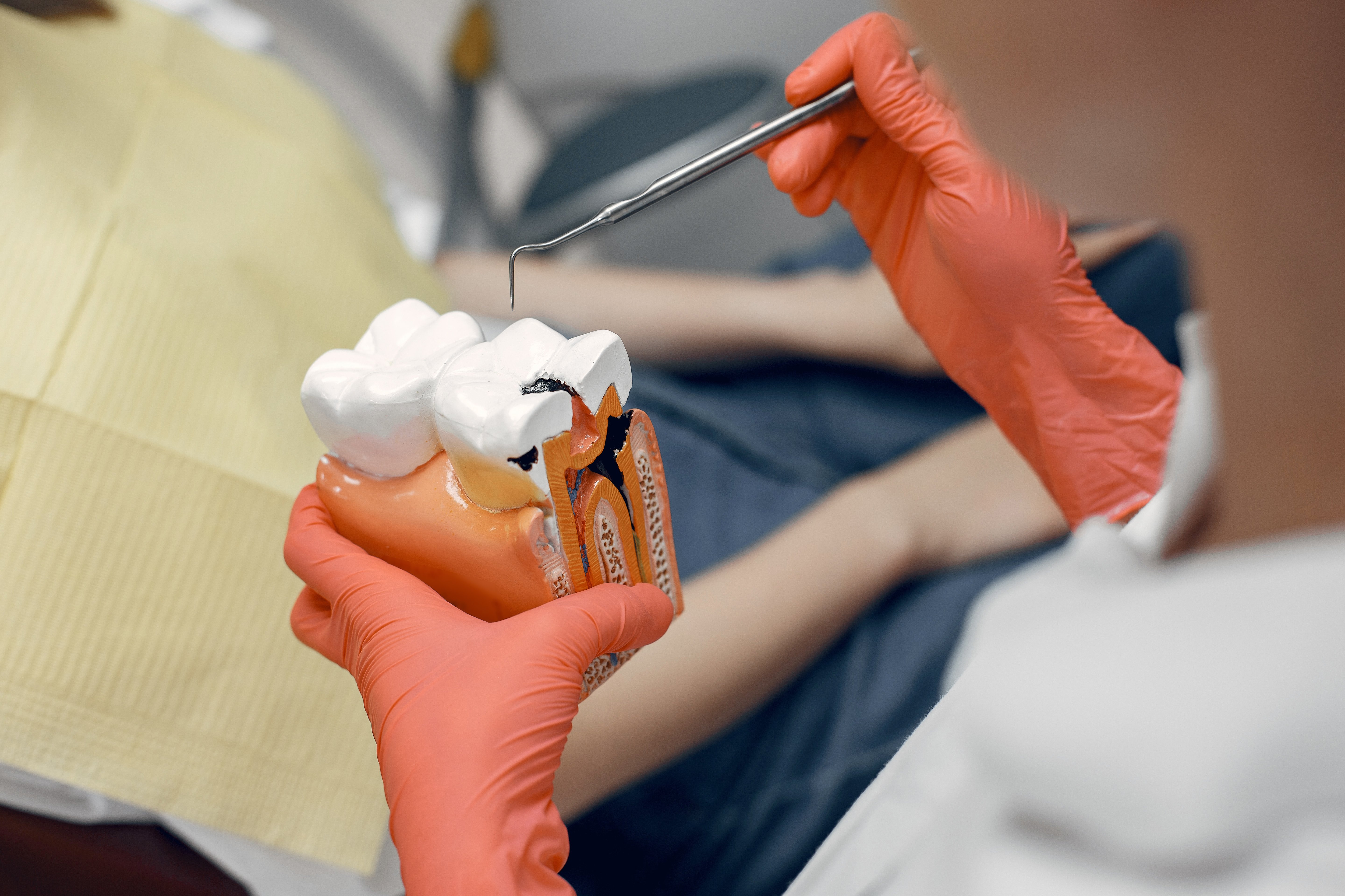 model-tooth-dentist-doctor-shows-patient-tooth-reception-dentist-s-office-1